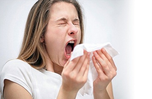 Пыль- причина аллергии