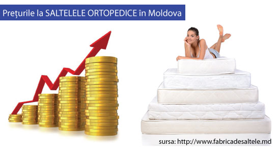 Evolutia preturilor la saltele in Moldova